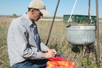 Corn Sampling